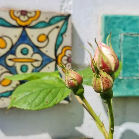 Appartement Kleine Oase