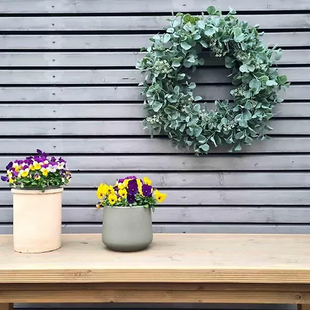 Kleine Oase アパート