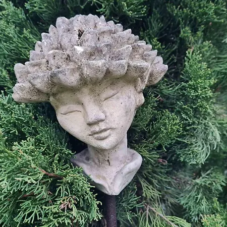 アパート Kleine Oase ボトロップ