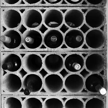 公寓 Kleine Oase 博特罗普