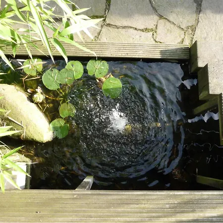 公寓 Kleine Oase 博特罗普